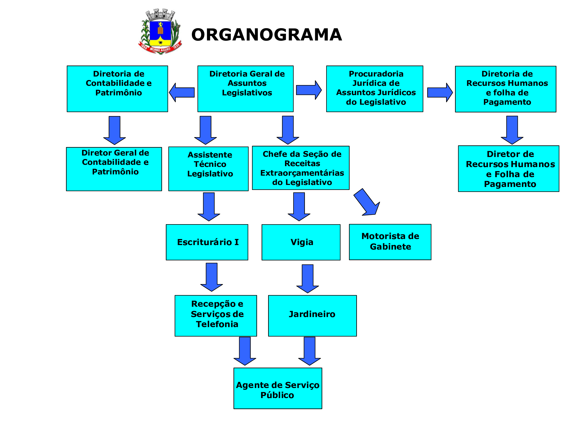 ORGANOG.-CAMARA-2025.jpg